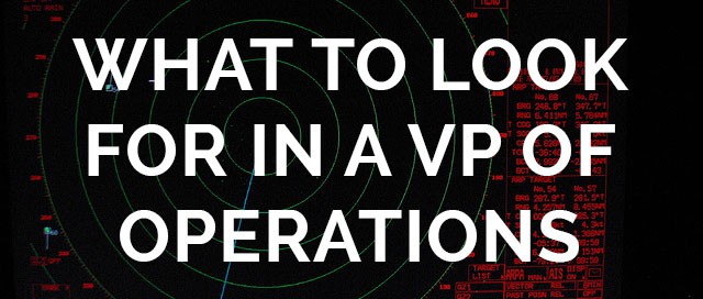 what to look for in a vp of operations