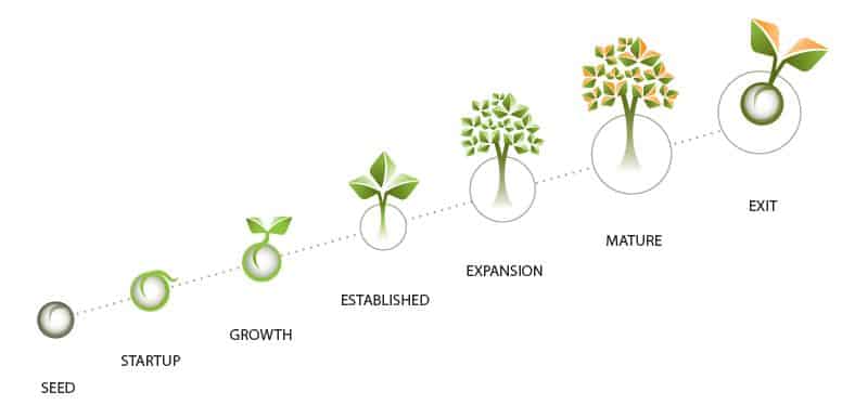 What Are The 7 Stages Of The Business Lifecycle Model 1228