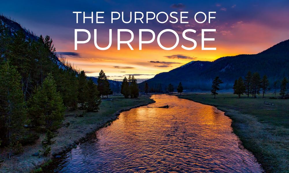 The Purpose Of Purpose