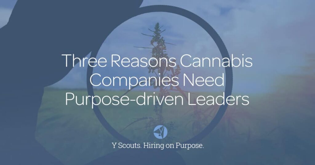 Blog_Three Reasons Cannabis Companies NeedsPDLeaders