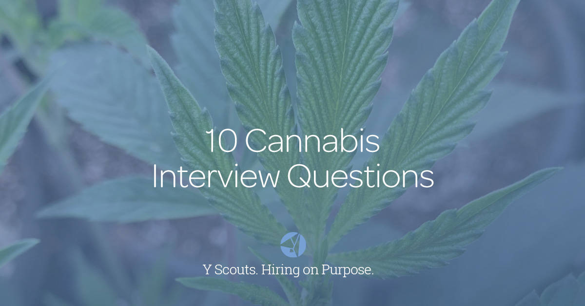 Blog_10CannabisInterviewQuestions